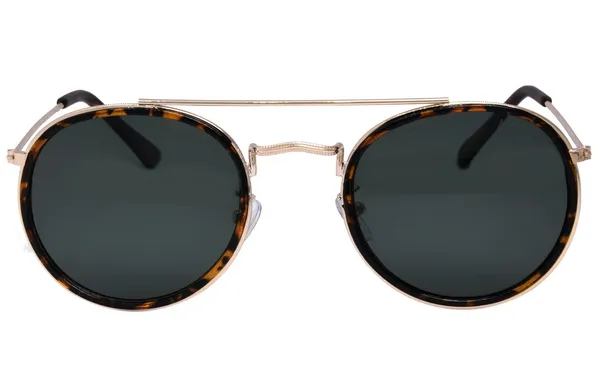 All Aboard Tort/G15 Sunglasses