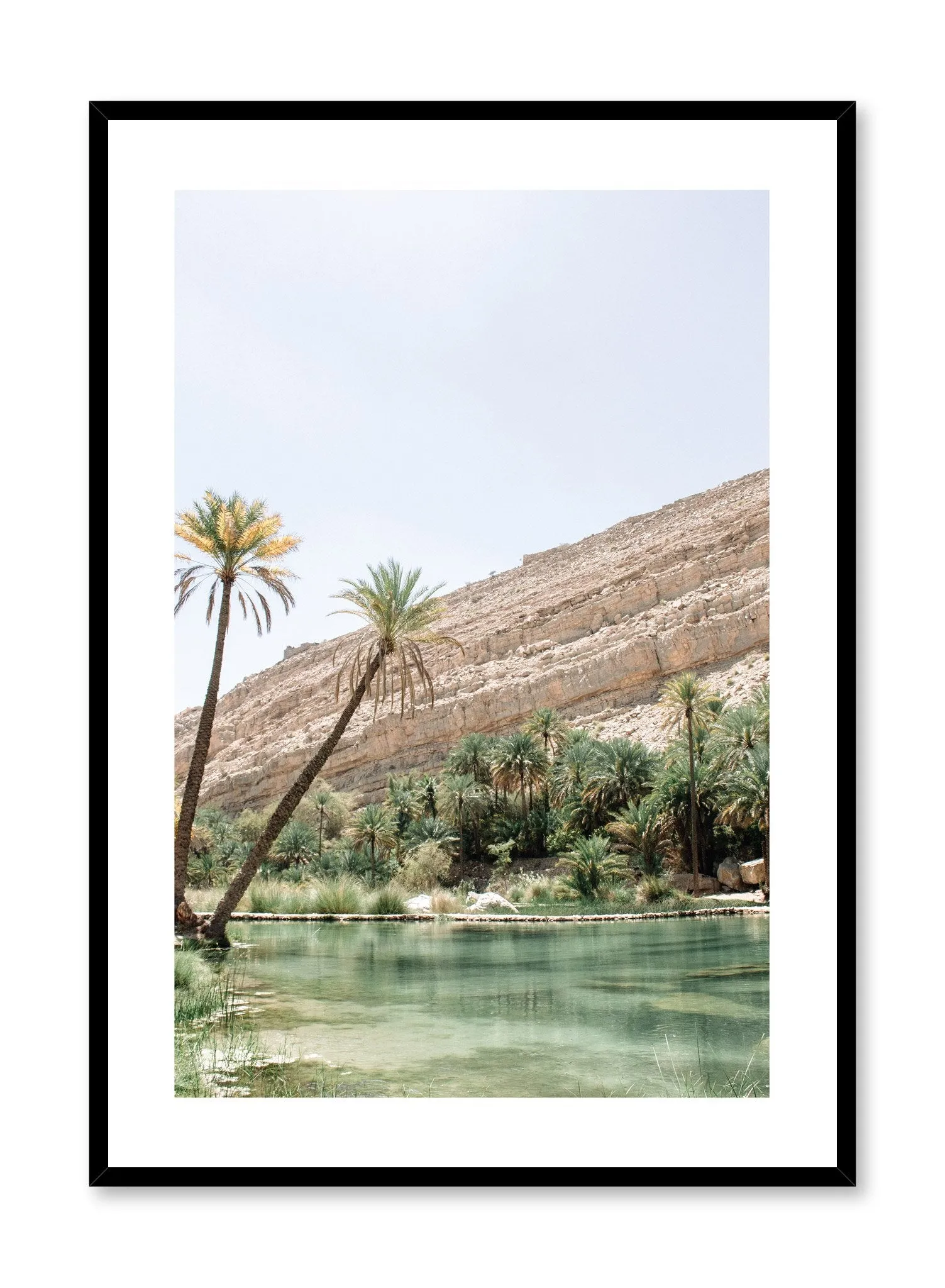 Desert Oasis, Poster