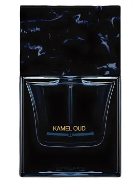 KAMEL OUD