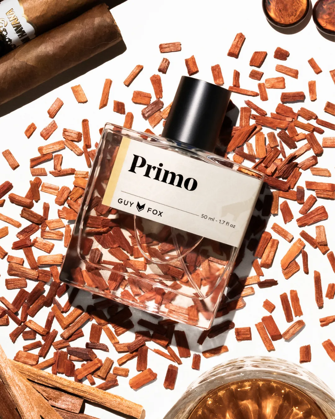 Primo | Guy Fox