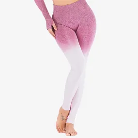 SALE - Ombre High Waist SeamlessLegging