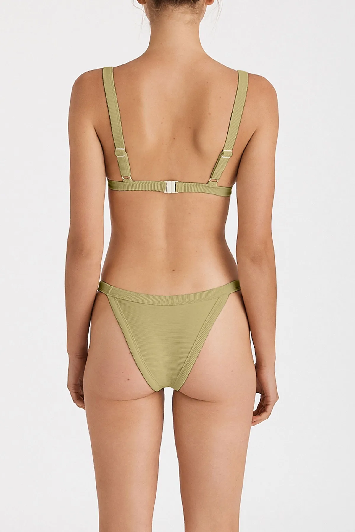 Signature Harness Brief - Avocado